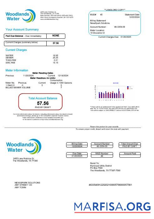 Realistic USA Woodlands water business utility bill Word and PDF template